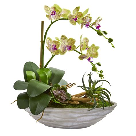 Phalaenopsis Orchid And Succulent Artificial Arrangement In White Vase Nearly Natural
