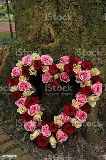 Heart Shaped Sympathy Flowers Stock Photo Download Image Now 2015
