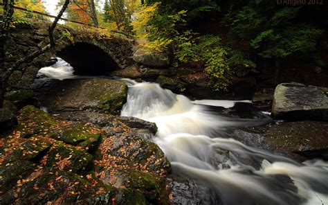 Nature Landscape Waterfall Water Stream Rocks Leaves