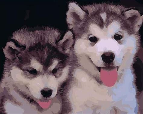Animal Pictures Paint By Numbers Diy Painting Cute Husky Puppies