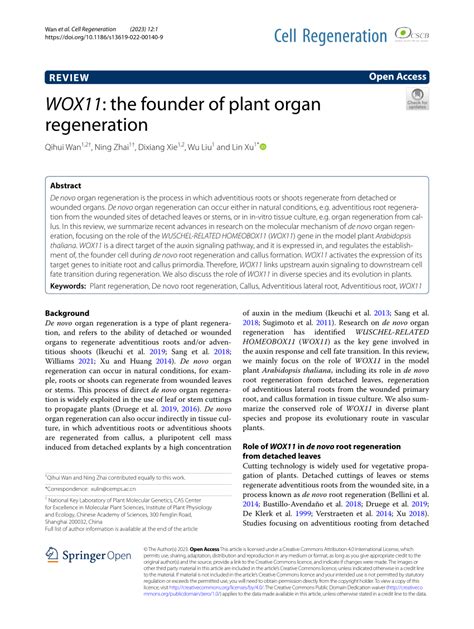 Pdf Wox11 The Founder Of Plant Organ Regeneration