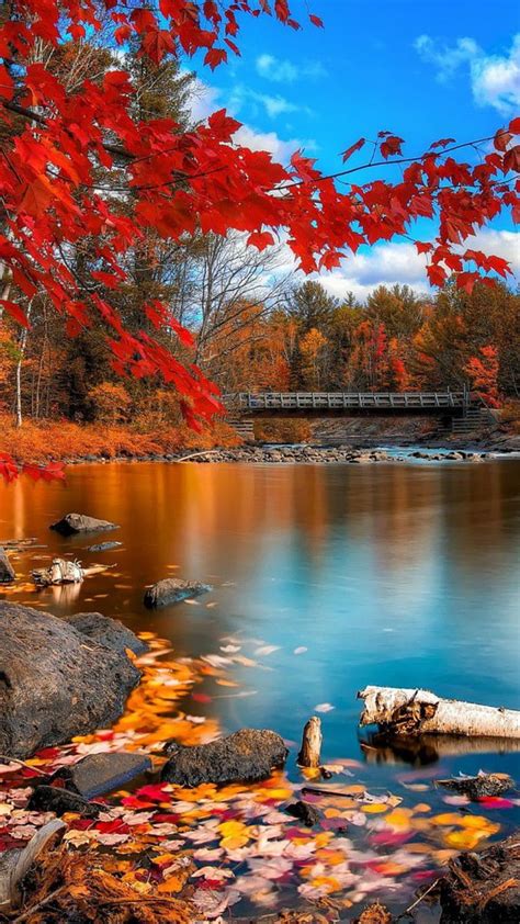 Autumn Leaves Bonito Beauty Fall Lake Landscapes Nature Scenery