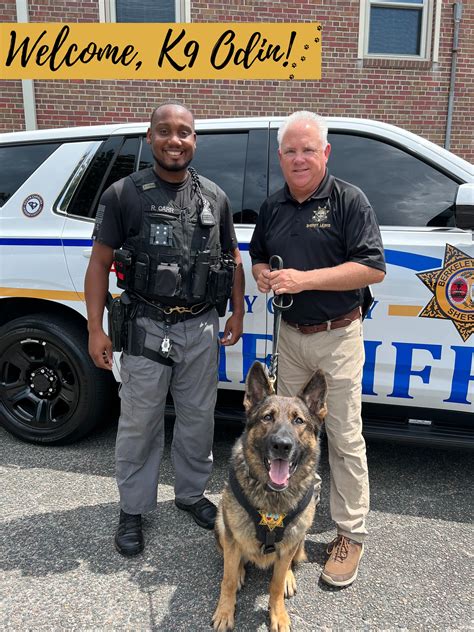 Berkeley County Sheriff’s Office welcomes new K-9 | WCBD News 2