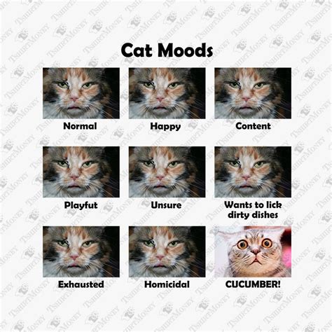 Cat Moods Print File Mood Cats Print