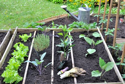 Le Potager Modulable Asticieux Et Pratique Pour Cultiver Ses Légumes