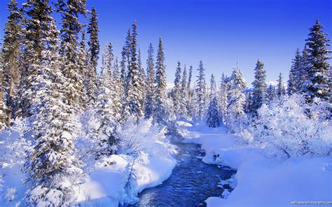 Beautiful Snowy Scene Wallpapers 49 Images