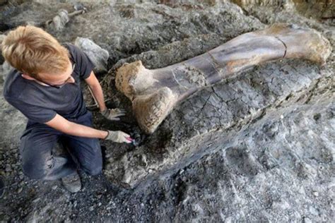 Un Grupo De Paleontólogos Halla Restos óseos De Un Fémur De 2 Metros De