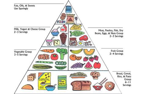 The food guide pyramid shows the types and serving sizes for the foods we should eat every day to stay healthy. The USDA Replaces "Food Pyramid" With "Food Plate" | Complex