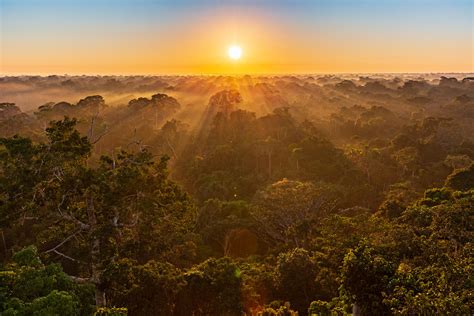 Sunrise Over The Amazon Jungle Tambopata Peru Imagine The Noise From