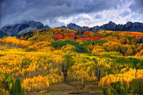 TERRA FIRMA | Kebler Pass, Gunnison County, Colorado | Colorado travel, Paonia colorado, Colorado