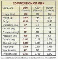 Milk and meat from the camel: 1000+ images about goat care on Pinterest | Goats, Raising ...