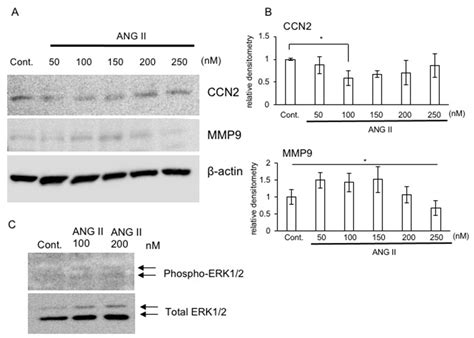 ijms free full text effect of angiotensin ii on chondrocyte degeneration and protection via