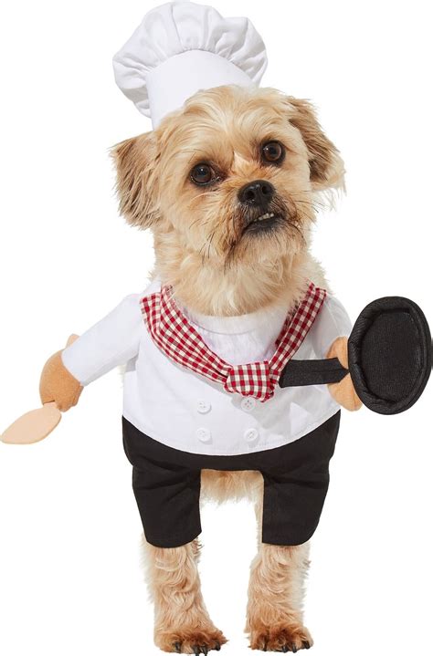 Frisco Front Walking Chef Dog And Cat Costume X Small