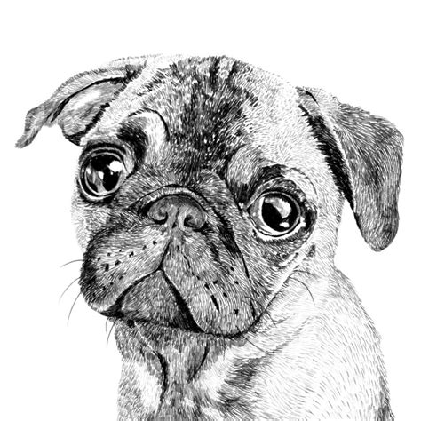 If you're feeling uninspired and creatively blocked, you can get back into drawing by doing these brief daily exercises. Pug Dog Print By Ros Shiers | notonthehighstreet.com