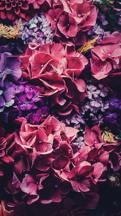 5 Floral Iphone Wallpapers To Celebrate 65k Pinterest