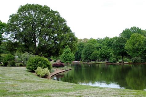 Freedom park is a neighborhood in charlotte, north carolina with a population of 3,635. We're Moving!!! - Peanut Butter Fingers