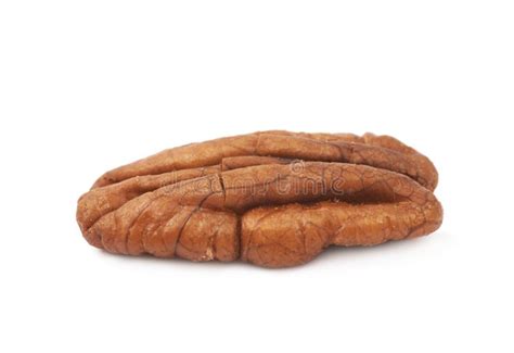 Single Pecan Nut Isolated Stock Photo Image Of Pecannut 85957258