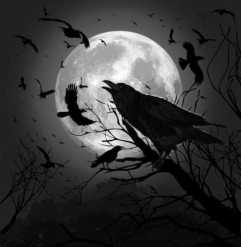 Raven Moon Dark Raven Pinterest Ravens Moon And Crows