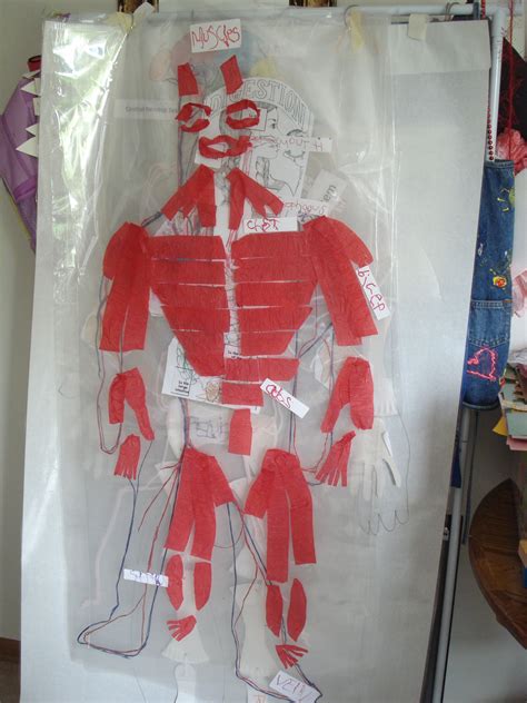 Grid 3 is identical to grid 1 except there is a black background with red lines and a red dot. musculatory system made with crepe paper glued on top of laminating film. Student can then ...