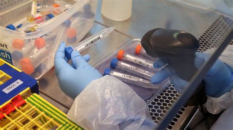 Covid 19 Ni Testing For New Coronavirus Variant Limited Bbc News