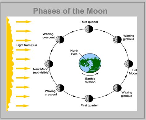 Moon Phases Diagram Labeled