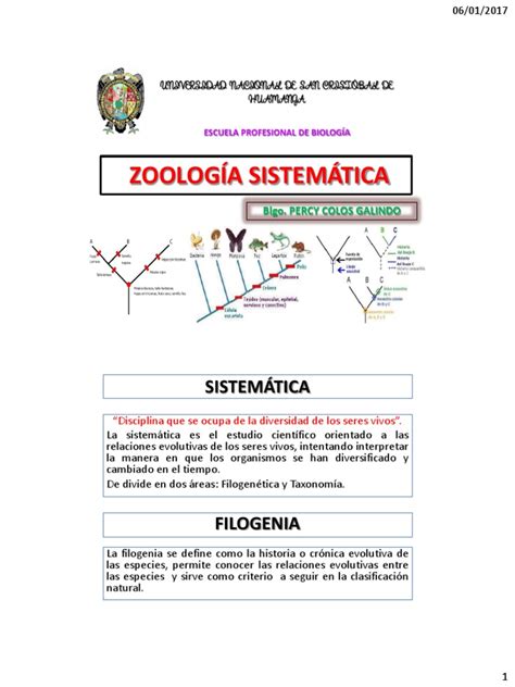 Practica 1 Cladogramas Pdf Taxonomía Biología Organismos