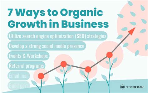 7 Ways To Organic Growth In Business