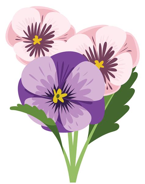 Pansy Flower 1190692 Png