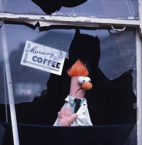 Coffee Anyone No More For Beekerplease Hes Jittery Enough Already Muppets Funny The