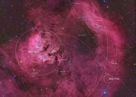NGC 7822 Astronewton