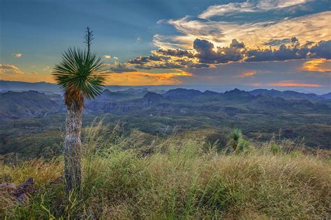 Big Bend Ranch State Park At Sunset 1 Photograph By Rob Greebon Fine