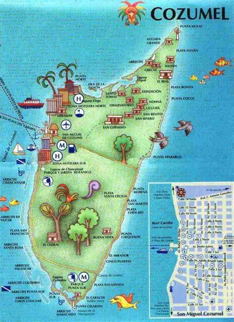 Cozumel Mexico Map Cozumel Map Cozumel Cruise Cozumel Map