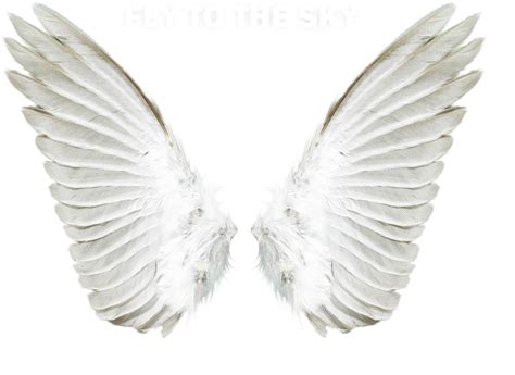 Heart Angel Wings Svg Free Transparent Png Clipart Im