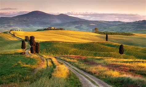 Fotografia Toskania Natura Włochy Hill Krajobraz Pole Tapeta