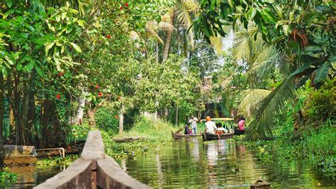 Guide To The Alleppey Backwaters In Kerala Touristsecrets