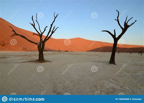 Dead Vlei In Namib Desert Stock Photo Image Of Natural 126653668