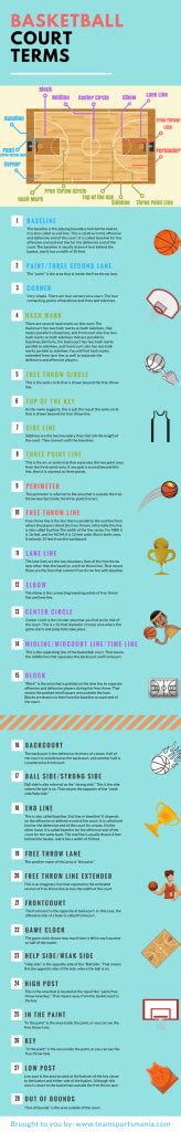 Popular Basketball Terms Clearly Explained Team Sports Mania