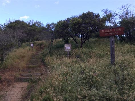 1 doctor answer • 1 doctor weighed in. #trailtuesdaythrowback to #running up (and down) Mt. Tam ...