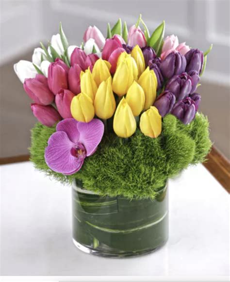 Welcome Spring With Our Holland Tulip Collection Carithers Flowers