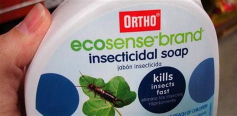Insecticidal soap is a contact poison. How to Use Insecticidal Soap on Plants | Plants, Pest ...