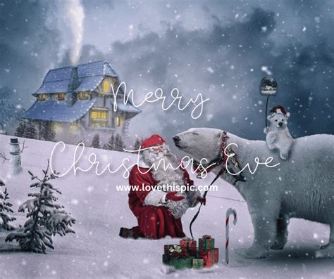 Santa With Polar Bear Merry Christmas Eve Pictures Photos And