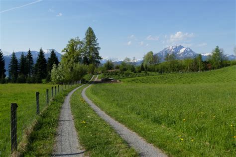 Conheça weg digital solutions, um ecossistema que conecta e integra equipamentos e sensores, sendo possível coletar e armazenar dados; Der Weg Foto & Bild | jahreszeiten, frühling, natur Bilder ...