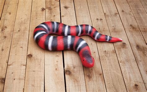 Snake Halloween Decorations 2022 Get Halloween 2022 Update