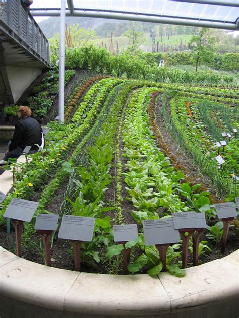 Our aromatherapy products are of the highest quality of freshness. Pin by iouyu chen on Semi open ETFE and Garden | Plants ...