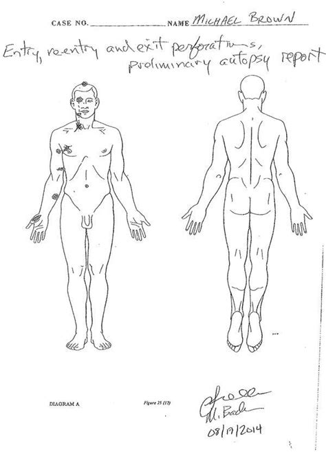 autopsy shows michael brown was struck at least 6 times the new york times