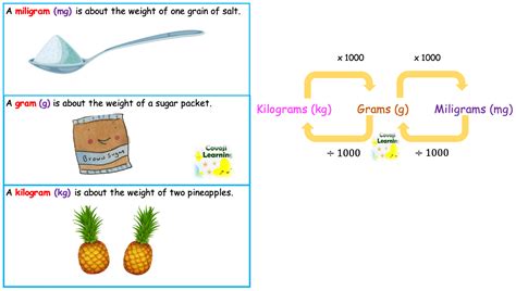 Units Measurement Of Weight Covoji Learning