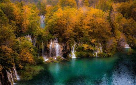 Nature Landscape Trees Forest Waterfall Lake Water