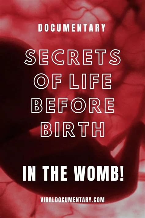 Secrets Of Life Before Birth In The Womb Viral Documentary In 2022