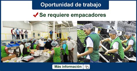 Descripción * operarios de descarga ubicado en independencia horarios turno día se requiere contratar operarios de bodega para importante centro de distribucion ubicado en la. Empleos, Se requieren empacadores operarios para laborar ...