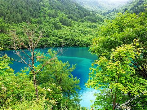 Jiuzhaigou In Spring Weather Scenery Packing List And Travel Tips 2024